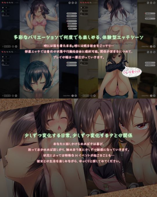 �T���v���摜